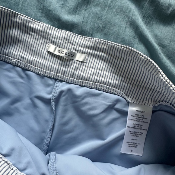 Blue and white pinstriped scort - Picture 3 of 3